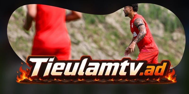 Gợi ý chốt kèo tổng hợp trận Santa Clara vs Nacional da Madeira ngày 11/08